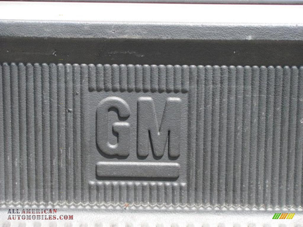 2001 S10 LS Extended Cab 4x4 - Light Pewter Metallic / Medium Gray photo #4