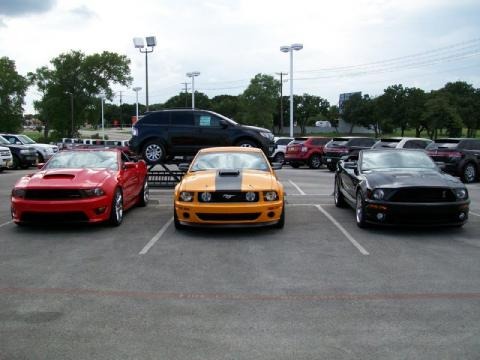 Ford Mustang Saleen S302 Convertible for sale
