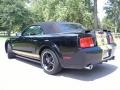 Ford Mustang Shelby GT-H Convertible Black/Gold Stripe photo #5