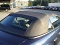 Ford Mustang GT Convertible True Blue Metallic photo #36
