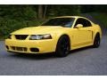 Ford Mustang Cobra Coupe Zinc Yellow photo #1