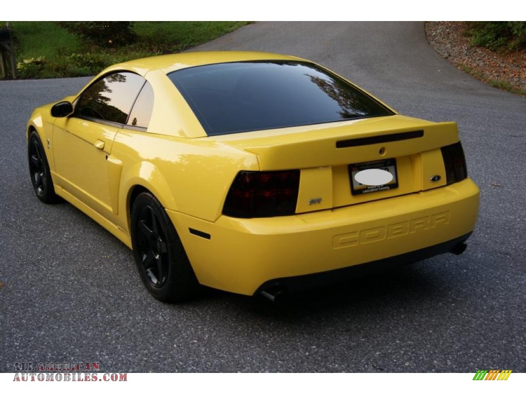 2003 Mustang Cobra Coupe - Zinc Yellow / Dark Charcoal photo #3