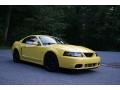 Ford Mustang Cobra Coupe Zinc Yellow photo #4