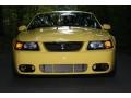 Ford Mustang Cobra Coupe Zinc Yellow photo #6