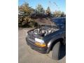 Chevrolet S10 LS Extended Cab 4x4 Forest Green Metallic photo #15