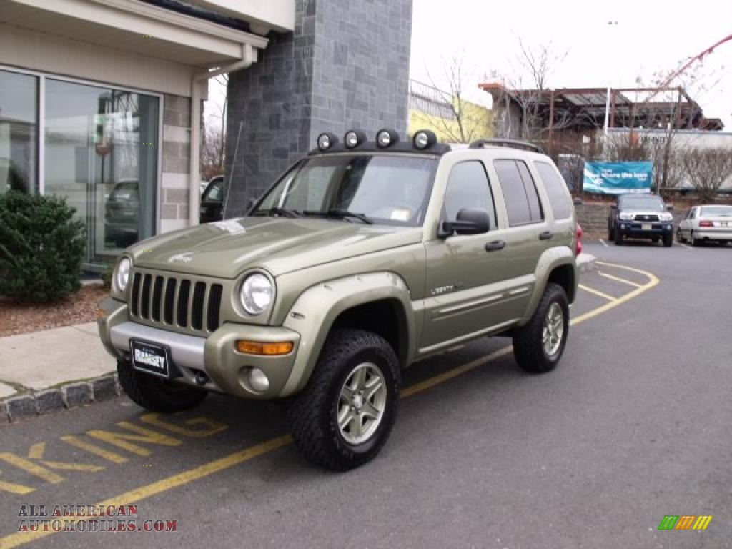 2002 Jeep liberty renegade for sale #1