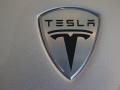 Tesla Roadster  Sterling Silver photo #29