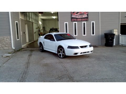 Oxford White Ford Mustang Cobra Coupe for sale