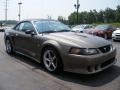 Ford Mustang Saleen S281 Supercharged Convertible Mineral Grey Metallic photo #9