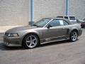 Ford Mustang Saleen S281 Supercharged Convertible Mineral Grey Metallic photo #13