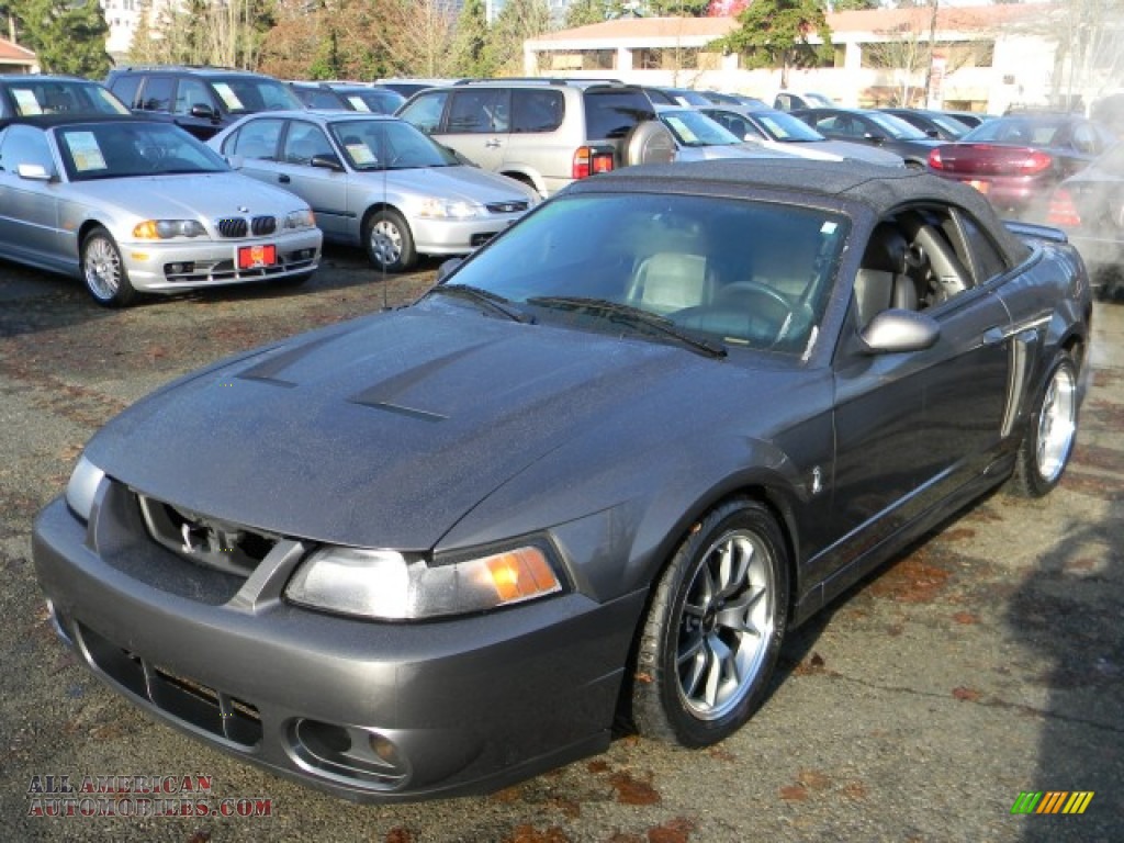 2003 Ford Mustang Cobra Convertible In Dark Shadow Grey Metallic Photo