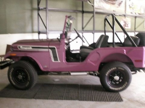 Custom Purple 1972 AMC Jeep CJ5 Custom Purple 1972 AMC Jeep CJ5
