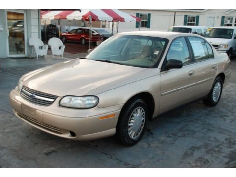 Light Driftwood Metallic 2004 Chevrolet Classic 