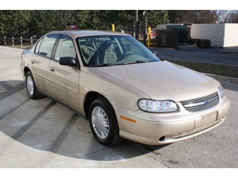 Light Driftwood Metallic 2005 Chevrolet Classic 