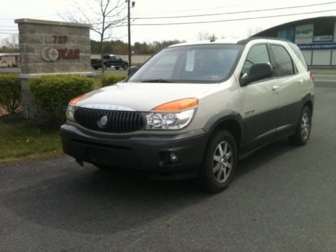 Light Spiral Gray Metallic 2003 Buick Rendezvous CX