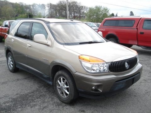 Light Driftwood Metallic 2003 Buick Rendezvous CXL