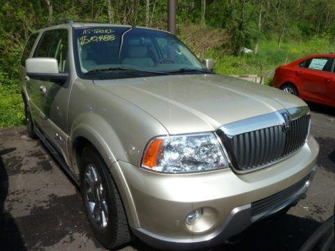 Light French Silk Metallic 2004 Lincoln Navigator Luxury 4x4