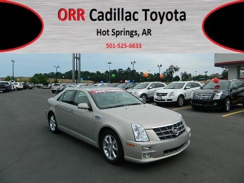 Gold Mist 2009 Cadillac STS V6 Gold Mist 2009 Cadillac STS V6