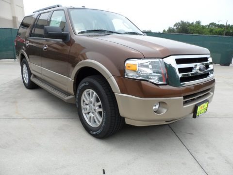 Golden Bronze Metallic 2012 Ford Expedition XLT Golden Bronze Metallic 2012 Ford Expedition XLT