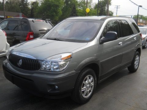 Light Spiral Gray Metallic 2004 Buick Rendezvous CX