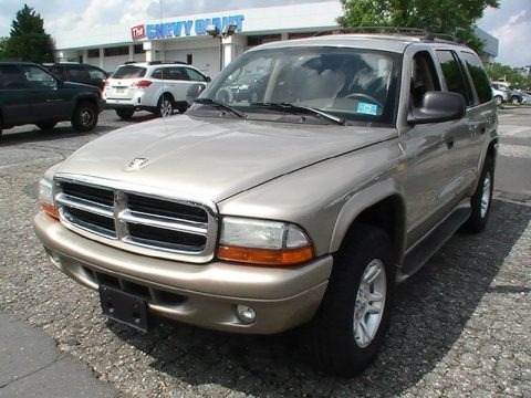 Light Khaki Metallic 2003 Dodge Durango SLT 4x4 Light Khaki Metallic 2003 Dodge Durango SLT 4x4