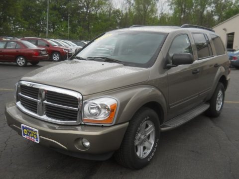 Mineral Gray Metallic 2005 Dodge Durango Limited 4x4 Mineral Gray Metallic 2005 Dodge Durango Limited 4x4