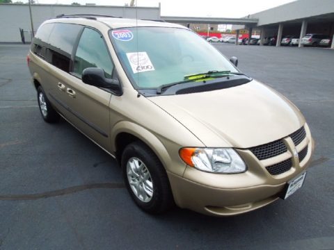 Light Almond Pearl 2003 Dodge Grand Caravan Sport Light Almond Pearl 2003 Dodge Grand Caravan Sport