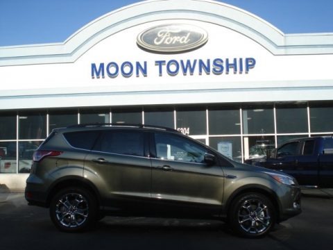 2013 Ford Escape Sale Date on Ginger Ale Metallic Ford Escape Sel 2 0l Ecoboost 4wd For Sale   All