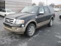 Ford Expedition King Ranch 4x4 Tuxedo Black photo #2