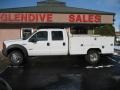 Ford F550 Super Duty XL Crew Cab Chassis Utility Oxford White photo #2