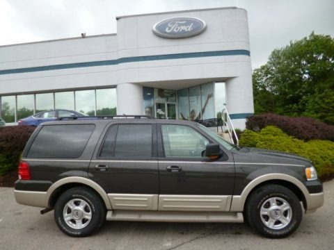 Dark Stone Metallic 2005 Ford Expedition Eddie Bauer 4x4 Dark Stone Metallic 2005 Ford Expedition Eddie Bauer 4x4