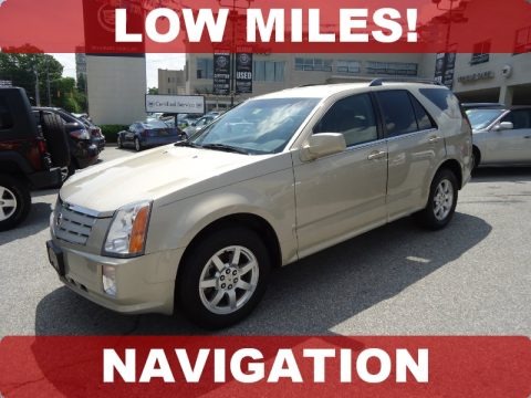 Gold Mist 2009 Cadillac SRX V6 Gold Mist 2009 Cadillac SRX V6