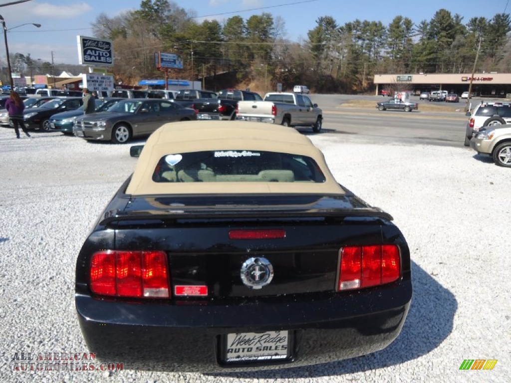 2006 Mustang V6 Premium Convertible - Black / Light Parchment photo #15