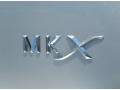 Lincoln MKX FWD Ingot Silver Metallic photo #4