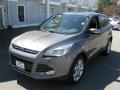 Ford Escape SEL 2.0L EcoBoost 4WD Sterling Gray Metallic photo #3