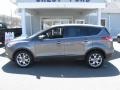 Ford Escape SEL 2.0L EcoBoost 4WD Sterling Gray Metallic photo #4