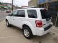 Ford Escape Limited V6 4WD White Suede photo #6
