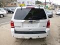 Ford Escape Limited V6 4WD White Suede photo #5