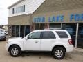 Ford Escape Limited V6 4WD White Suede photo #7