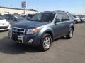 Ford Escape Limited V6 4WD Steel Blue Metallic photo #3