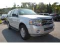 Ford Expedition XLT Ingot Silver photo #1