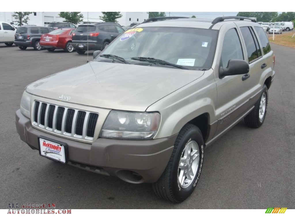 2004 Jeep Grand Cherokee Laredo 4x4 In Light Pewter Metallic Photo #2 