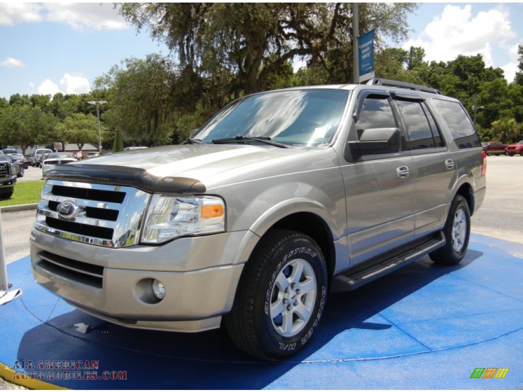 Vapor Silver Metallic / Charcoal Black Ford Expedition XLT
