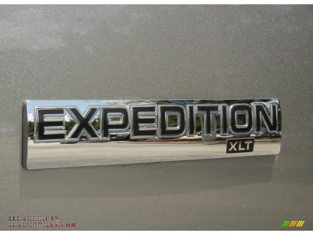 2009 Expedition XLT - Vapor Silver Metallic / Charcoal Black photo #9