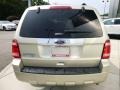 Ford Escape Limited 4WD Gold Leaf Metallic photo #4