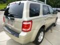 Ford Escape Limited 4WD Gold Leaf Metallic photo #5