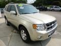 Ford Escape Limited 4WD Gold Leaf Metallic photo #7