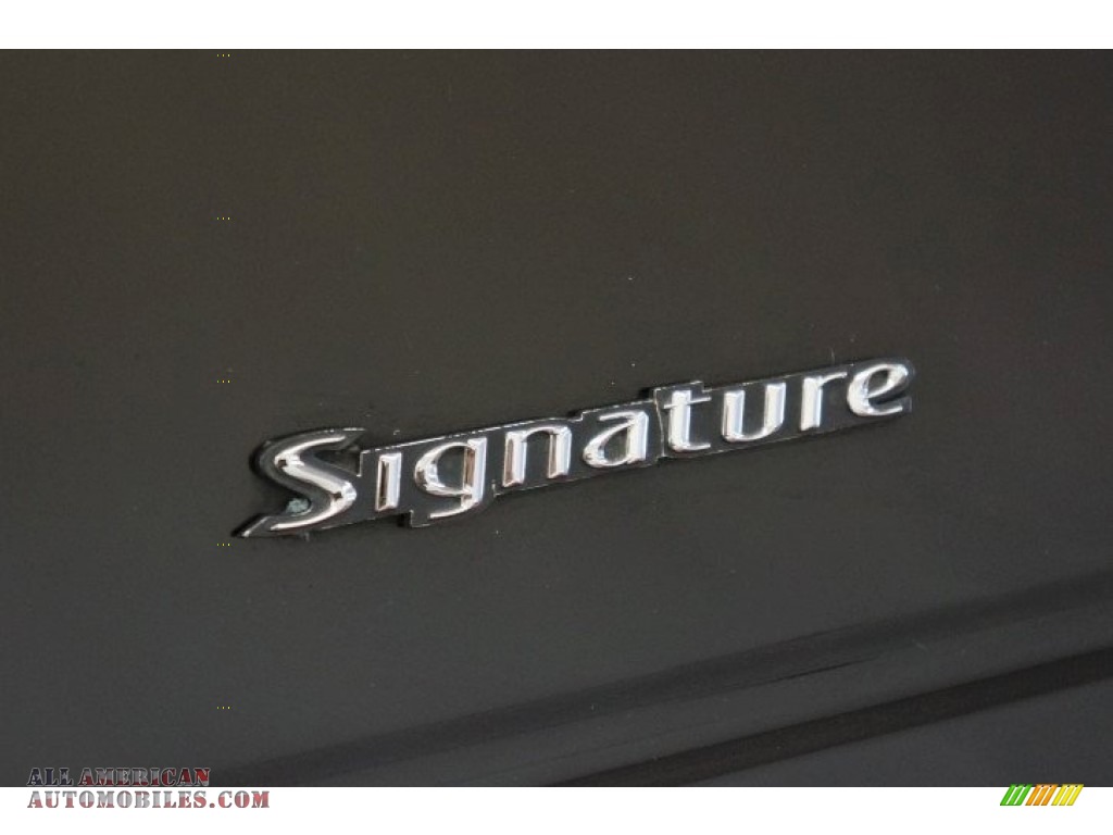 2006 Town Car Signature - Black / Black photo #65
