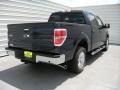 Ford F150 XLT SuperCrew Blue Jeans photo #4