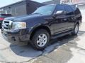 Ford Expedition XLT 4x4 Tuxedo Black photo #4